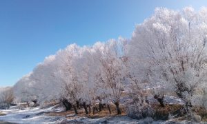 Konya - Dorf Kayadibi - Landschaft